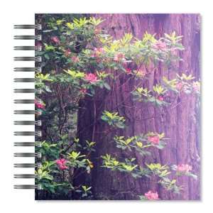  ECOeverywhere Rhododendron and Redwood Picture Photo Album 