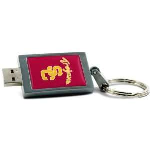  KEYCHAIN 2G USB FLASH DRIVE (DSK2GB CUSC Electronics