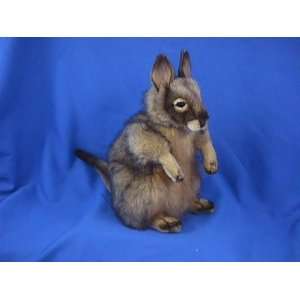  Kangaroo (Hare Wallaby) Reproduction Hansa 16 