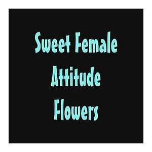    SWEET FEMALE ATTITUDE / FLOWERS SWEET FEMALE ATTITUDE Music