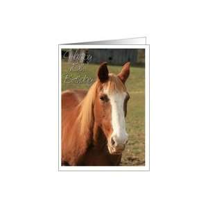  10th Birthday Horse Photo Card Card Toys & Games