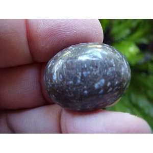  E2006 Gemqz Opal Spots Loose Oval Cabochon Sumatra 