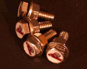 Indian Motorcycle License Plate Bolts  