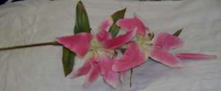   tall. There are 2 open 8 inch flowers and a bud. The leaves are