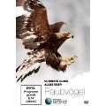 Ultimate Guide   Alles über Raubvögel   Discovery World DVD 
