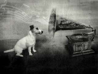 Hunde  Jack Russell Grammophon Poster Kunstdruck #54753  