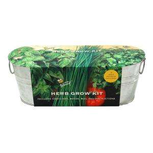 Buzzy Kitchen Herb Windowsill Grow Kit 94330 