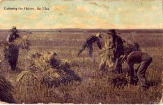 SOUTH DAKOTA GATHERING THE HARVEST 1910  