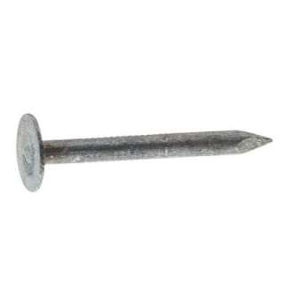 Grip Rite #11 X 2 In. Electro Galvanized Steel Roofing Nails (5 Lb 
