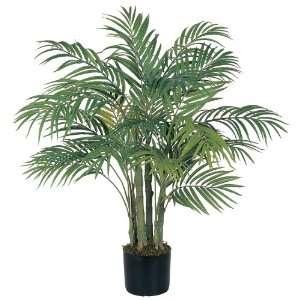  3 Areca Silk Palm Tree Patio, Lawn & Garden