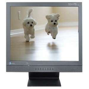  17 Eizo FlexScan L565 DVI LCD Monitor w/Speakers (Black 