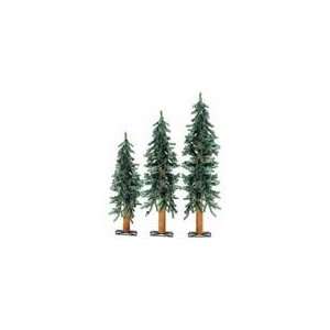  Sterling/Palm Tree 2 3 4 Ft Alpine Trees 2511 234
