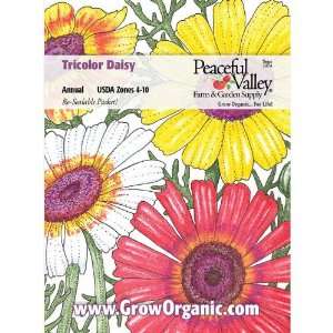  Daisy Seed Pack, Tricolor Mix Patio, Lawn & Garden