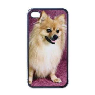 POMERANIAN DOG COVER CASE 4 APPLE IPHONE 4 MOBILE PHONE  