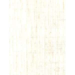  Wallpaper Astek Grasscloth & textures V AtX233