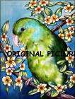 PARROTLET GICLEE of painting PARROT Parakeet Bird Kristine Kasheta ART