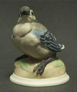 Boehm PORCELAIN BIRD Figurine BABY BLUE JAY 898354  