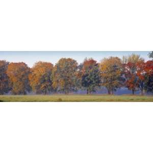 Trees in a Garden, South Bohemia, Czech Republic by Panoramic Images 