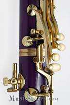 PURPLE/GOLD B Flat Bb CLARINET Lazarro+TUNER,12 REED,CASE,CARE KIT 