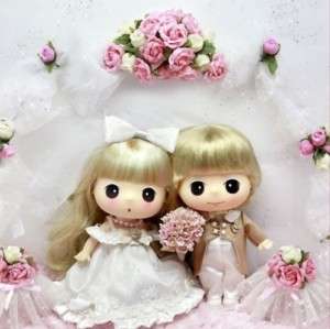 Lovely Cute Collectible Doll 18cm Wedding Couple DDUNG  