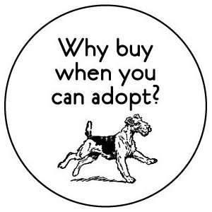   CAN ADOPT ? Pinback Button 1.25 Pin / Badge Rescue Cat Dog Shelter