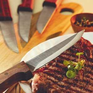  Basics 4 Pc Steak Knife Set (Walnut)