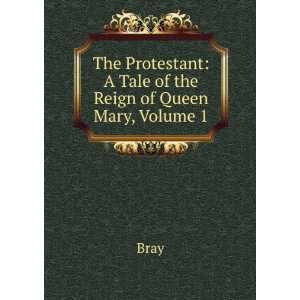   Protestant A Tale of the Reign of Queen Mary, Volume 1 Bray Books