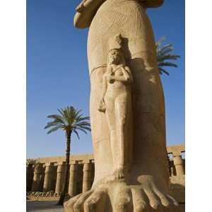  Colossal Statue of Ramses Ii Stands in the Great Forecourt 