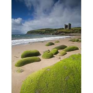  Minnard Beach, Dingle, County Kerry, Munster, Republic of 