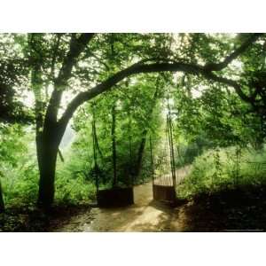  Woodland Walk, with Metal Gate and Fence Chaumont Garden 