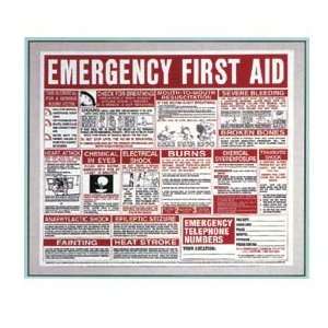 First Aid Wall Chart 22x26