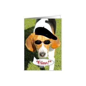 Italian  Hi/Hello Ciao,Blank Note Card Hound Dog w/sunglasses beret 