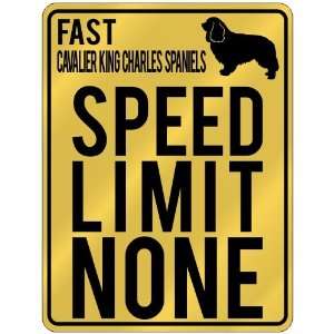   Cavalier King Charles Spaniels   Speed Limit None  Parking Sign Dog