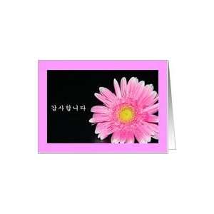 Thank You in Korean °¨»çÇÕ´Ï´Ù Kamsa hamnida   Pink Daisy 