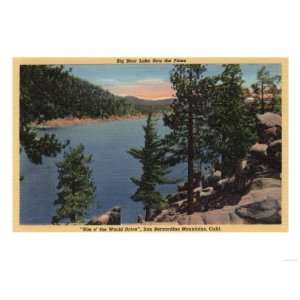   of the Lake through the Pines Premium Poster Print