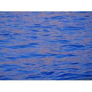 Ripples in Water Reflecting Light and Blue Sky, San Diego, California 