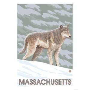  Massachusetts   Wolf Scene Premium Poster Print