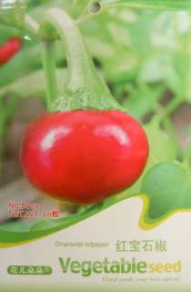 B010 Herbs Vergetable Omamental Ruby Red pepper Seed Pk  