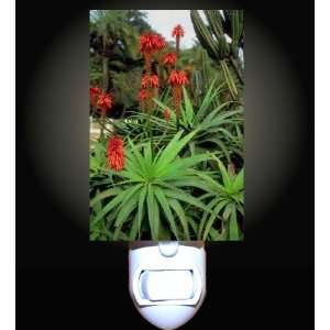  African Plants Decorative Night Light