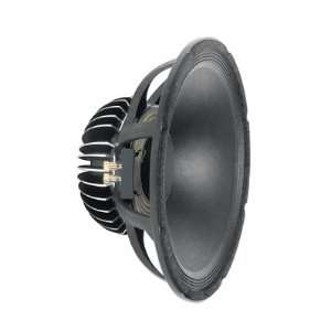  Peavey BWX SC 15 NEO Raw Speaker, 15 inch Musical 