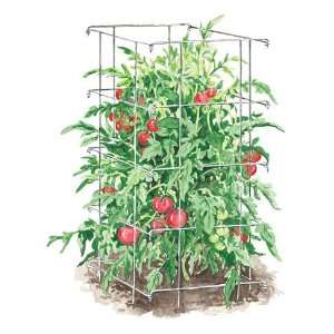  Tomato Cage Patio, Lawn & Garden