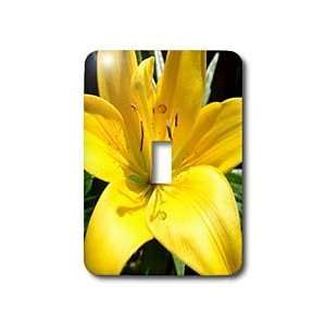 Patricia Sanders Flowers   yellow lily   Light Switch Covers   single 