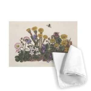  Purple and White Violets, Daisy, Celandine   Tea Towel 