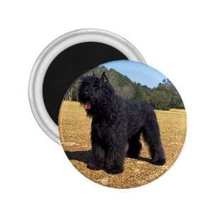  Bouvier des Flandres Refrigerator Magnet