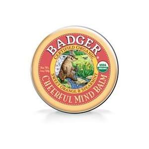  Cheerful Mind Balmby Badger