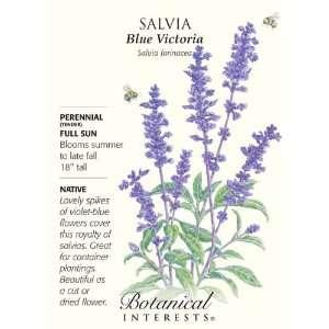  Salvia Blue Victoria Seeds Patio, Lawn & Garden