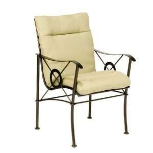   Peyton Dining Arm Chair & Cushion Set   250001+25W018