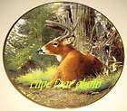 bob travers wilderness summer velvet buck plate w coa expedited