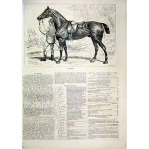  1874 Horse Cashier Man Leading Sheldon Williams Print 