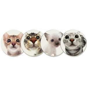  CounterArt In Your Face Cats II Absorbent Coasters, Set of 